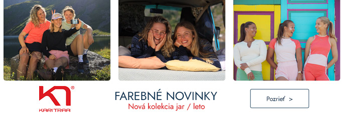 Kari Traa