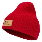 Vlněná čepice Alvoy Hat Dale unisex