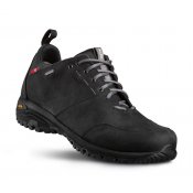 Pánská turistická GORE-TEX® obuv z kůže Alfa Munro Perform GTX