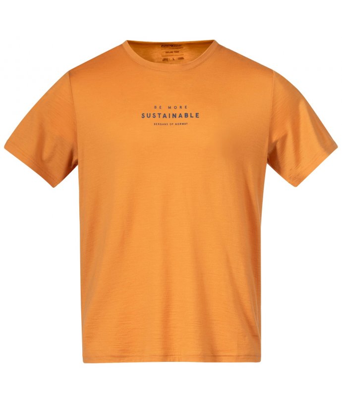 Pánské Merino tričko Bergans Graphic