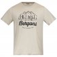 Pánské tričko z Merino vlny Bergans Graphic