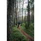Pánské Merino MTB tričko rukávem Devold Klovstien