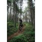 Pánské Merino MTB tričko rukávem Devold Klovstien