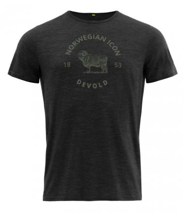Pánské merino tričko Devold Bagge